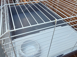 Guinea pig- small animal cage