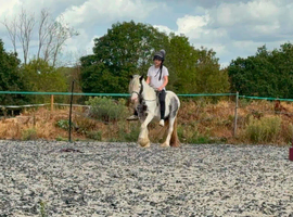 Lovely little cob