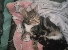 Well loved beautiful babies