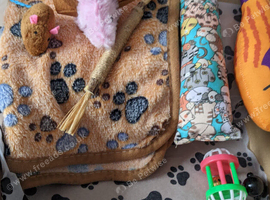 Cat/kitten fleece and toys