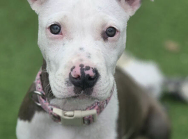 4 Month Old baby girl