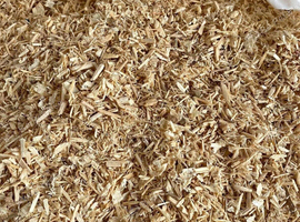 22kg bale