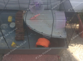 Cage with accessories