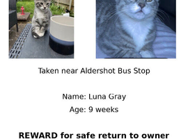 Lost or stolen