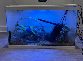 Fish tank full set up
