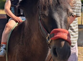lead rein pony