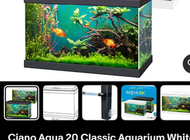 3x Betta fish with tank and accessories each