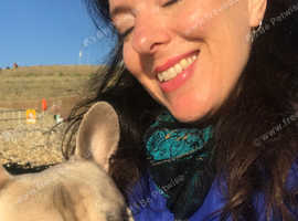 Dog Walker/Sitter