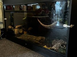 5ft Vivarium