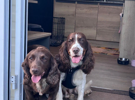 Bonnie&Benji