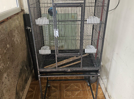 Bird cage