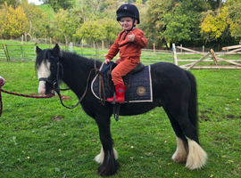 Mini cob first pony
