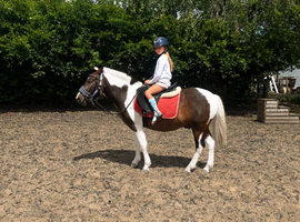 Future Pony Club / Hunting Prospect