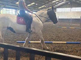 Volunteer equestrian