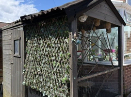 Large aviary