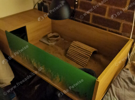 Vivexotic Glass Fronted Tortoise Table