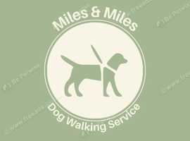 Miles & Miles Dog Walking Service