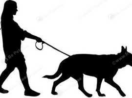 Dog walking