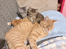 2 lovely girls and One ginger boy