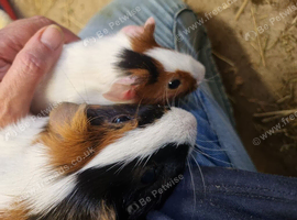 Father and son