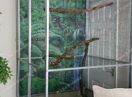 Avairy for sale brand new