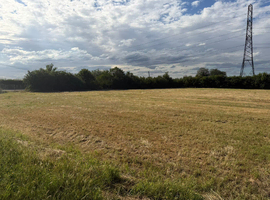 11 Acre land to Rent