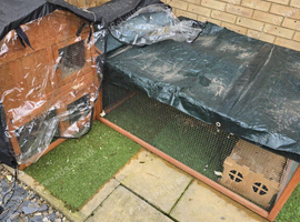 4 guinea pigs and hutch