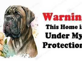 Customised Door Dog Stckers  From &pound; 0.90