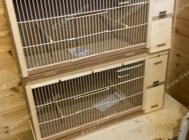 New budgie breeding cages