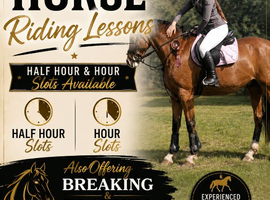 Horse riding lessons