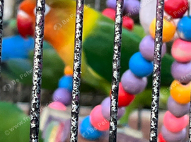 3 x Beautiful healthy breeding lovebirds