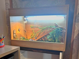 Vivarium