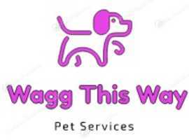 Have your pet Wagg This Way!