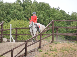 flying flicka