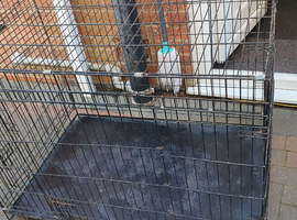 Dog cages and pens