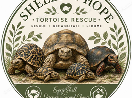 SHELLS OF HOPE TORTOISE RESCUE