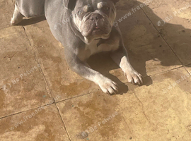Girl 7 years old