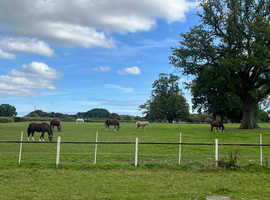 Livery vacancies