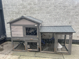 * FREE Pigeons *