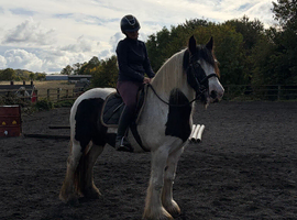 Weight carrying cob