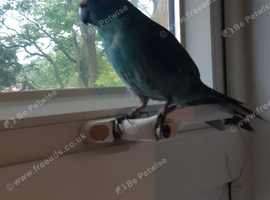 Male 8months female 6 months
