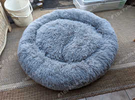 Pet accessories