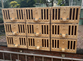Pigeon nest box