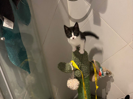 Eight weeks old today