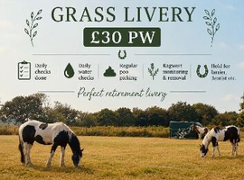 Grass livery in Ormskirk