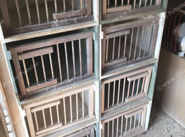 Set of 12 widowhood boxes