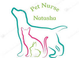 Pet Microchipping - Qualified Veterinary Nurse, Fully Insured