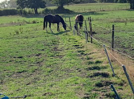 Full livery available