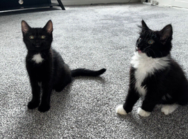 2 sweet siblings