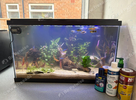 COMPLETE TROPICAL SET UP WITH FISH